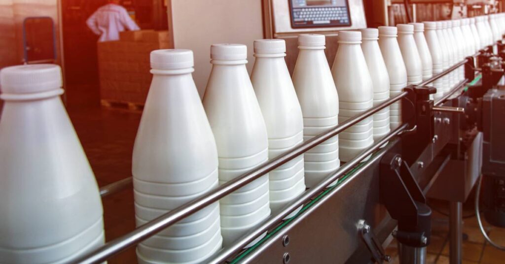 dairy supply chain