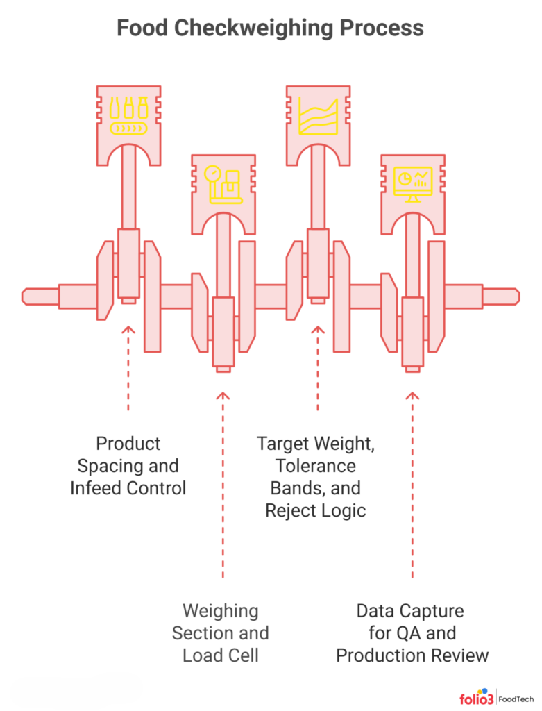 How Does a Food Checkweigher Work?