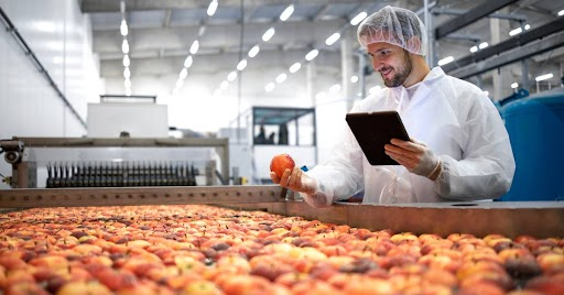 QC inspecting food
