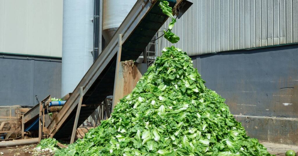 food manufacturing waste reduction