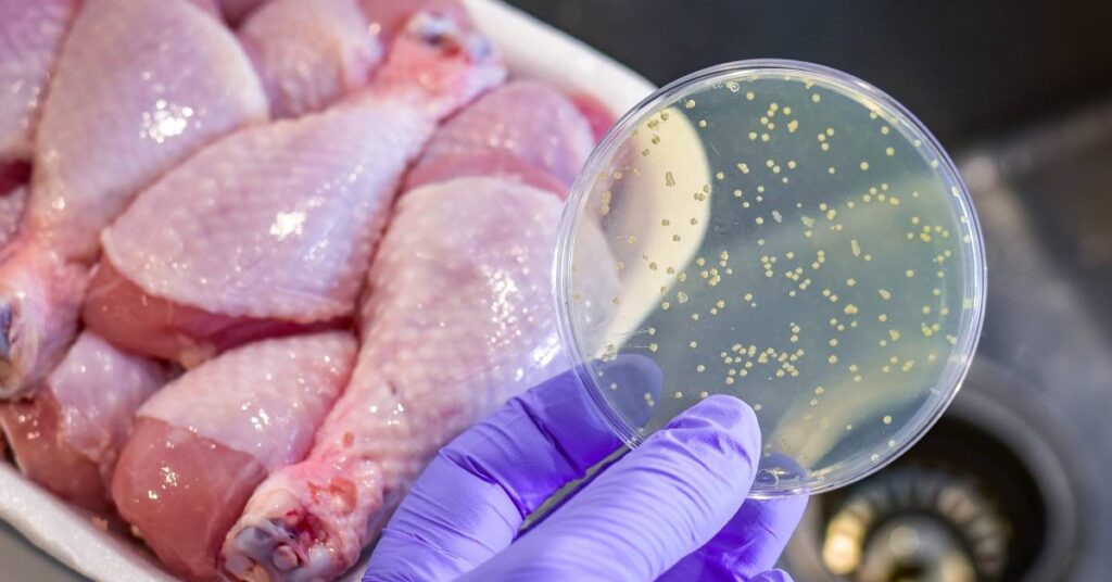 Foodborne Pathogens