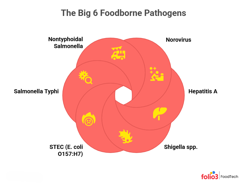 Big 6 Foodborne Pathogens