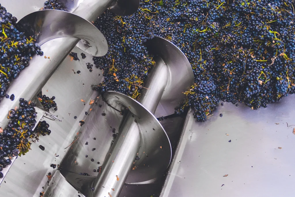 Quality Control in Fruit Juice Processing