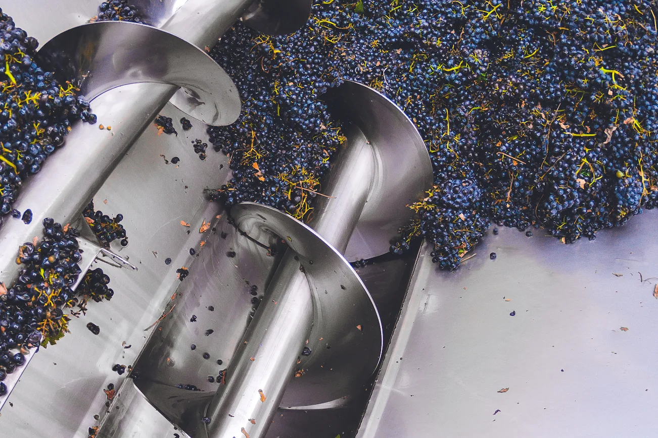 Quality Control in Fruit Juice Processing
