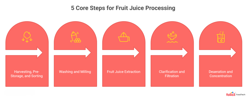 Core Fruit Juice Processing Steps