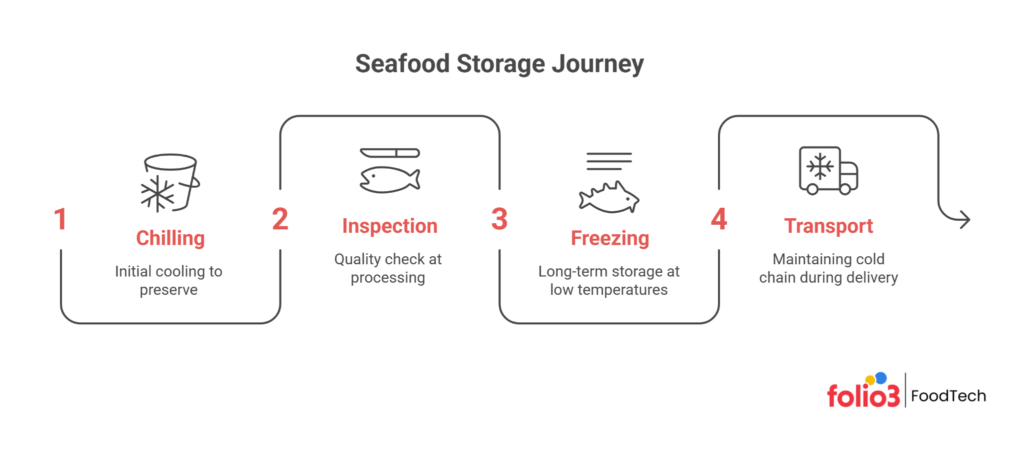 Seafood Cold Storage Stages