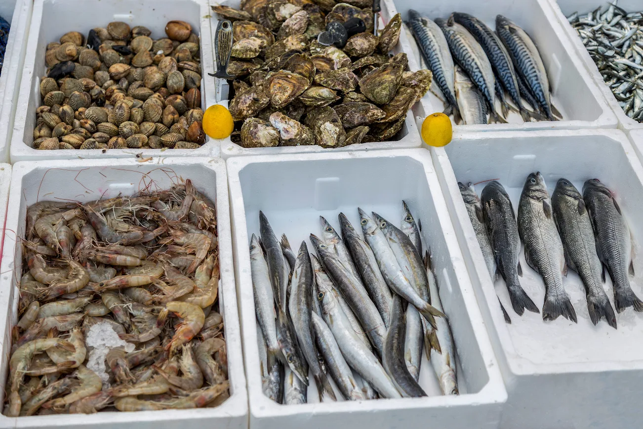 seafood cold storage