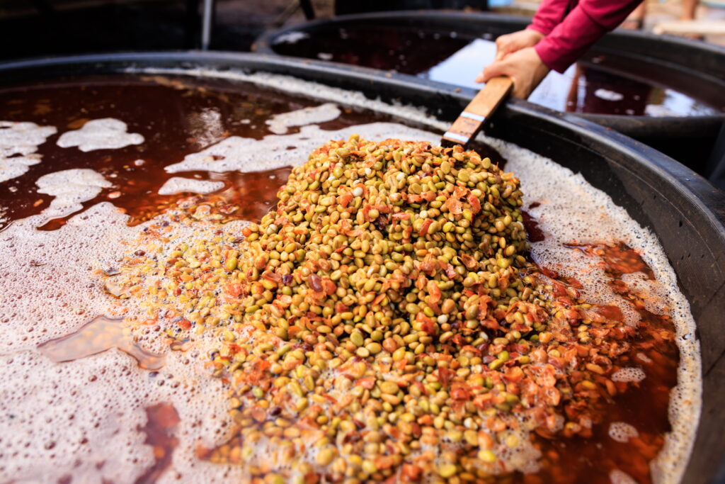 Coffee Fermentation