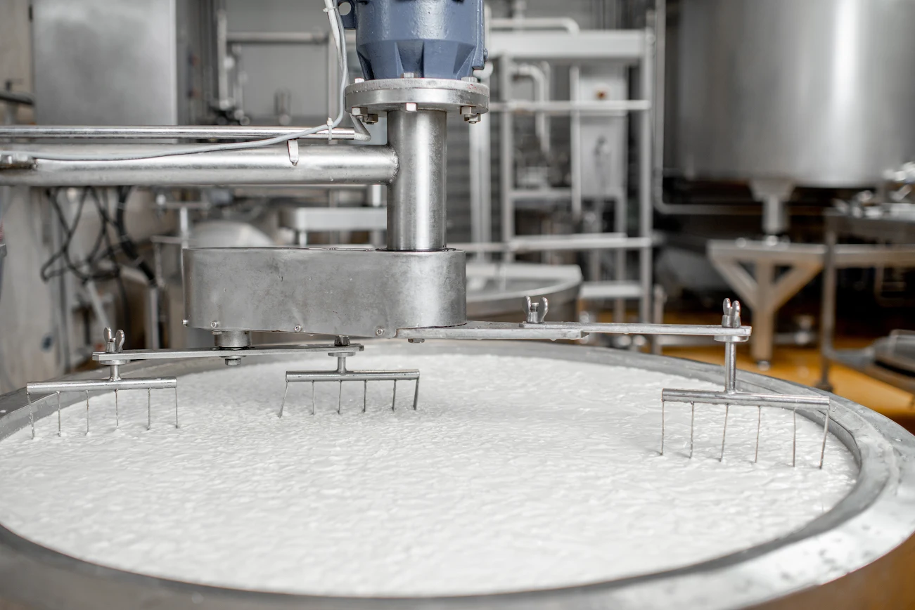 food fermentation