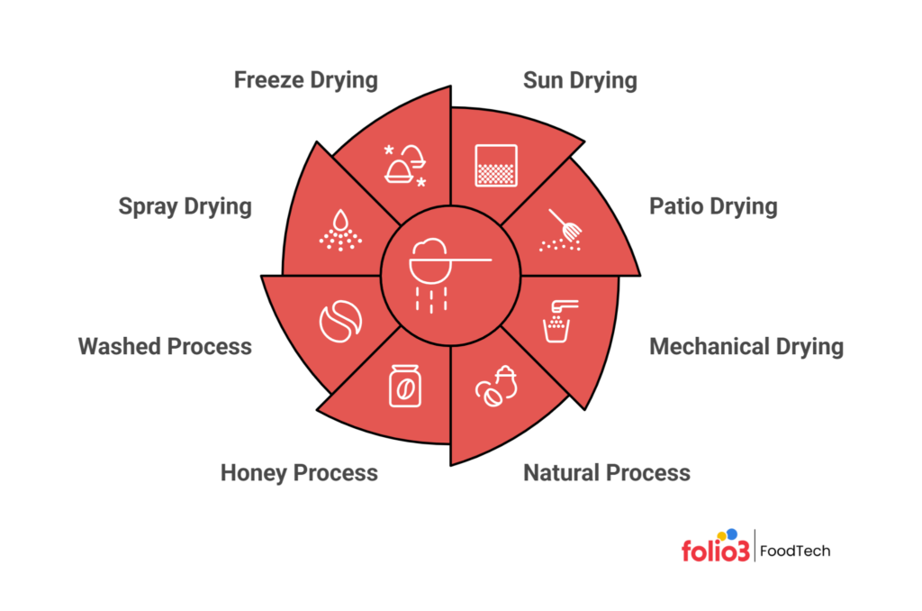 Main Coffee Drying Methods