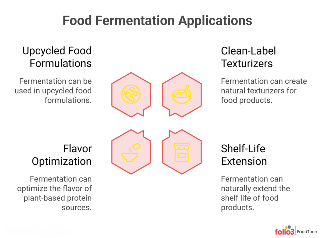 Application of Fermentation in the Food Industry