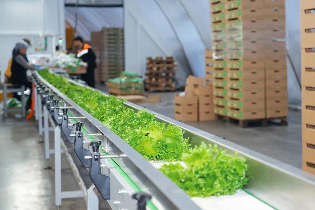 fresh produce processing