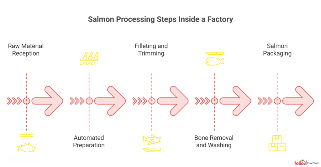 5 Salmon Processing Steps Inside a Factory