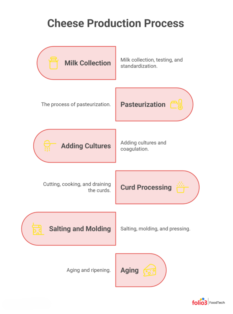 How Is Cheese Made? The Step-by-Step Production Process