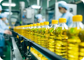Edible and Fat Oil