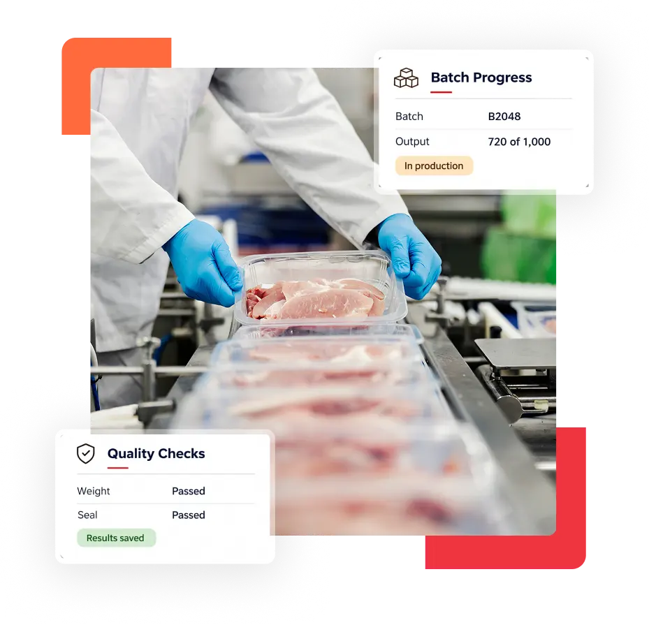 Manufacturing Execution System in the Food