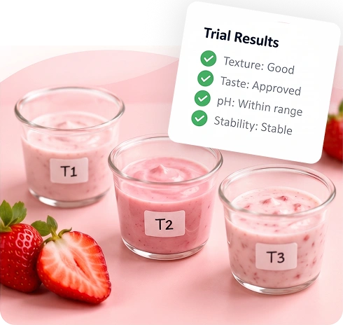Testing & Evaluation