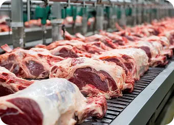 meat